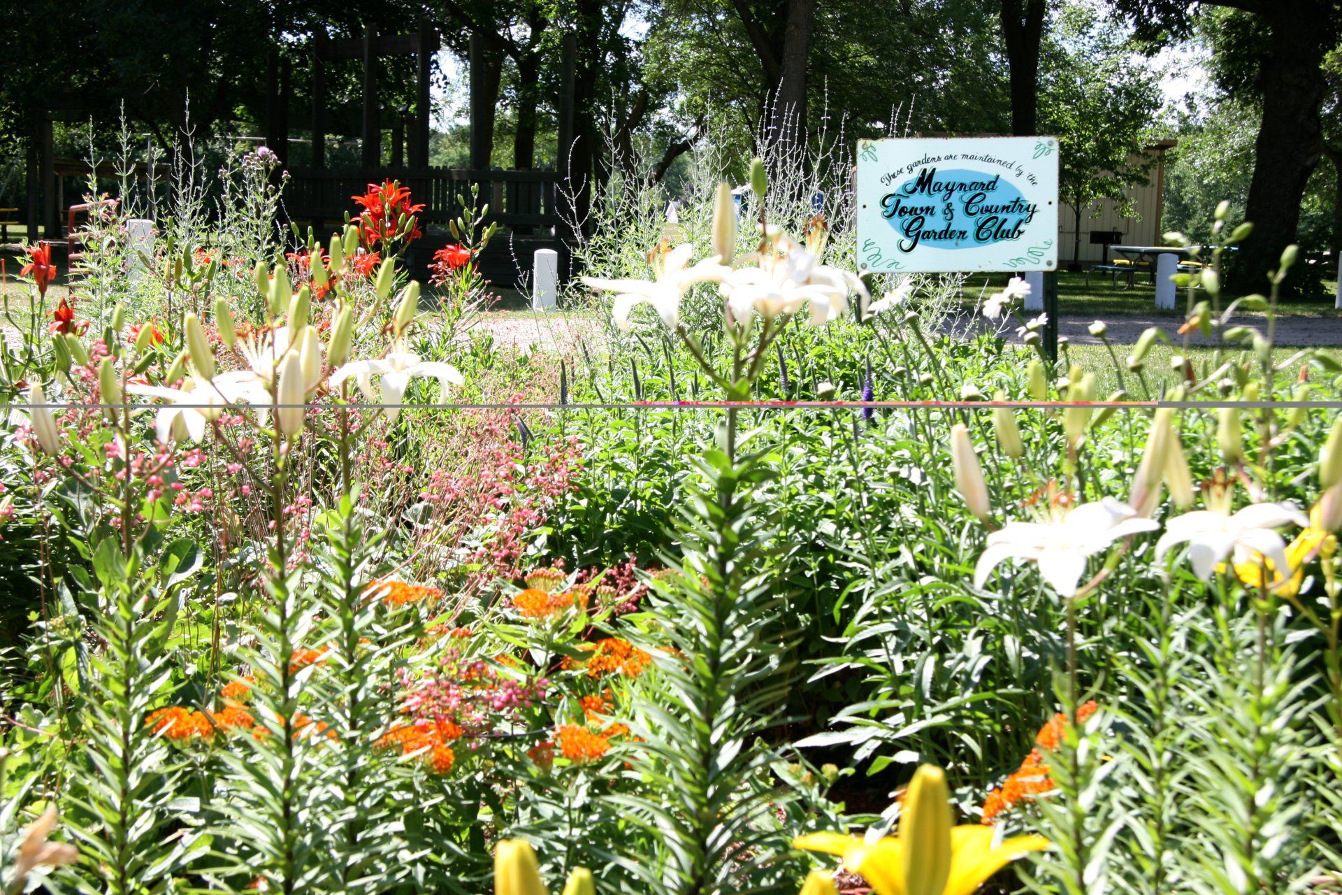 City Organizations City of Maynard Minnesota